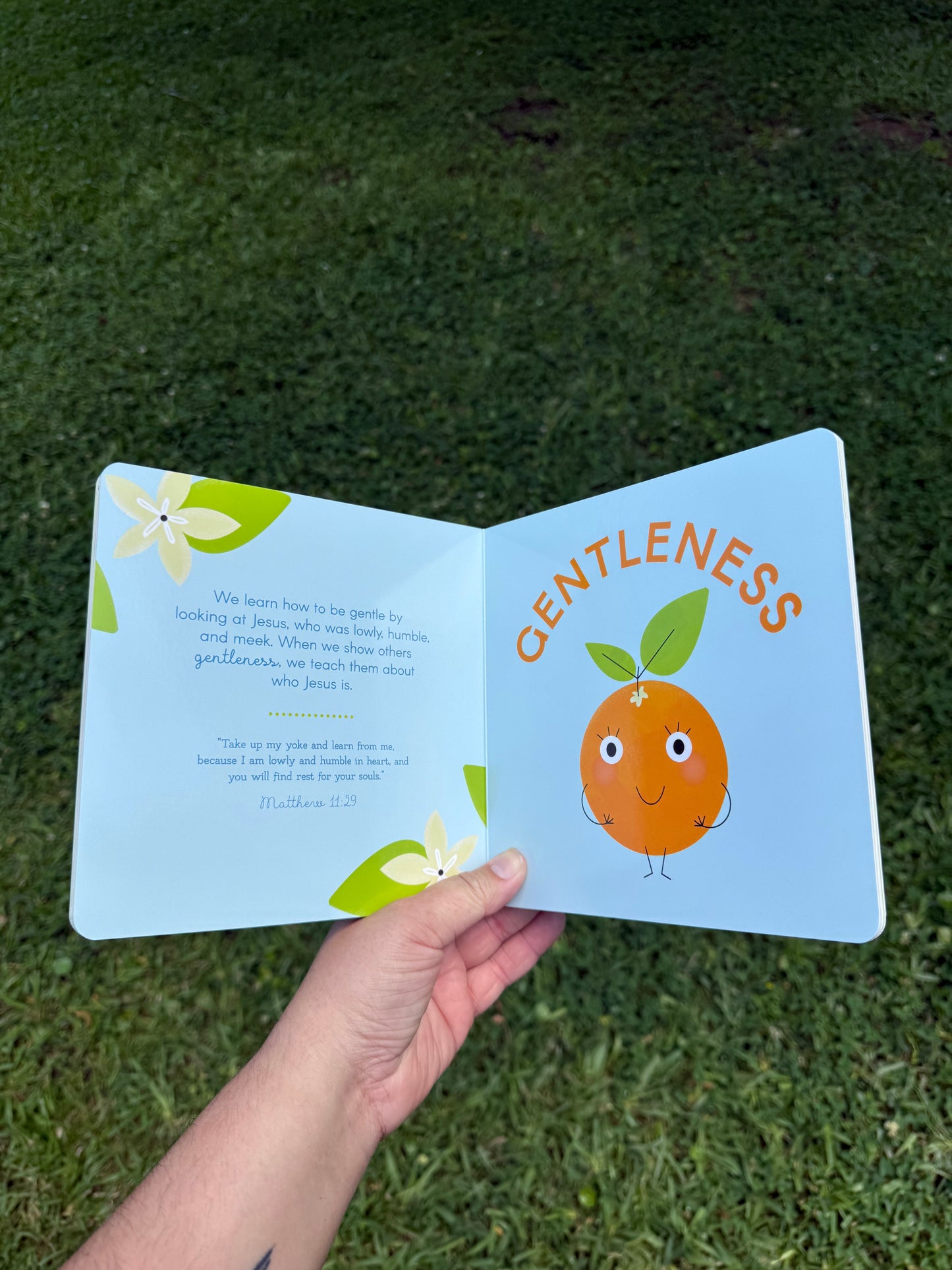 Fruit of the Spirit Board Book