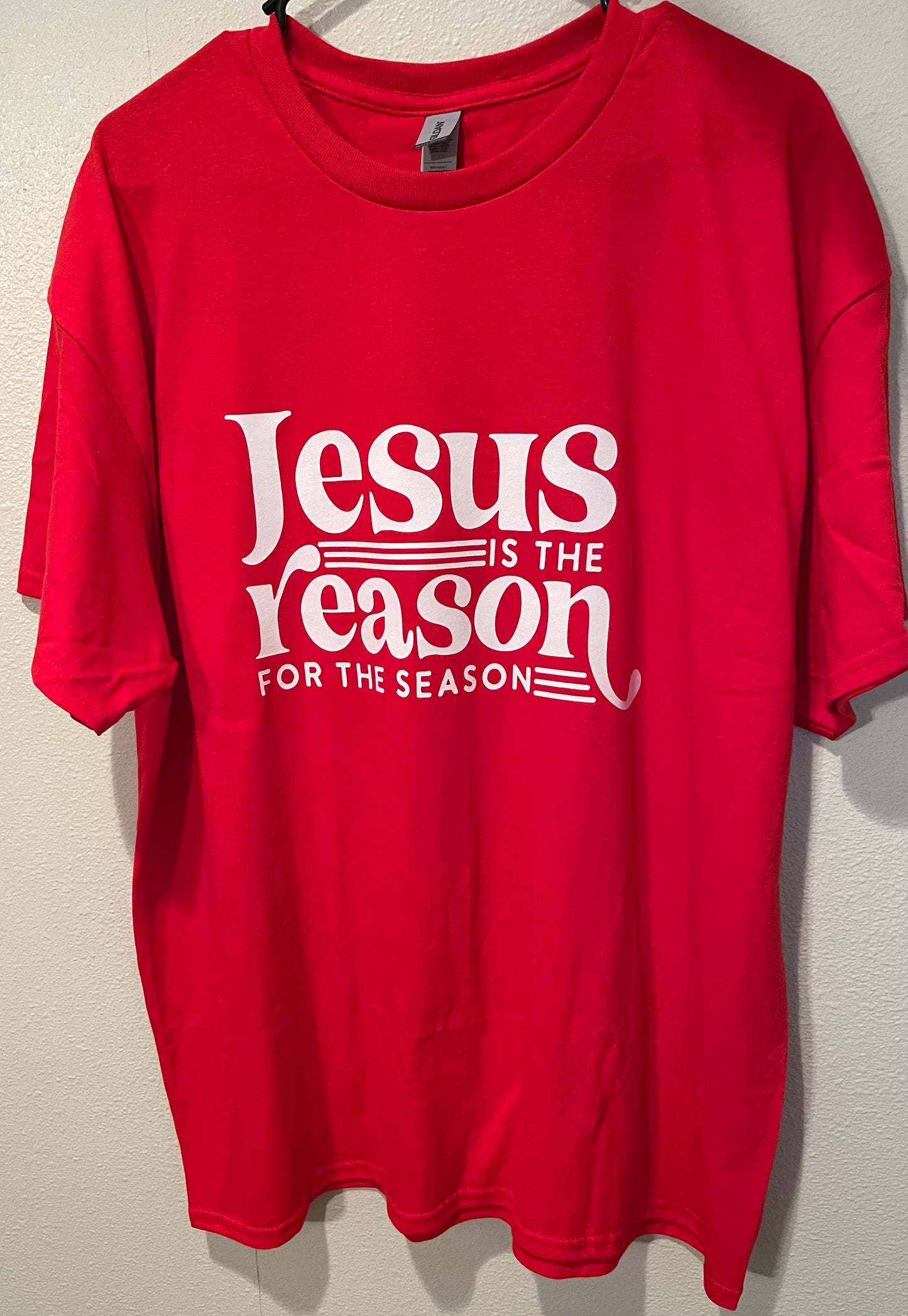 Jesus is the Reason Shirt